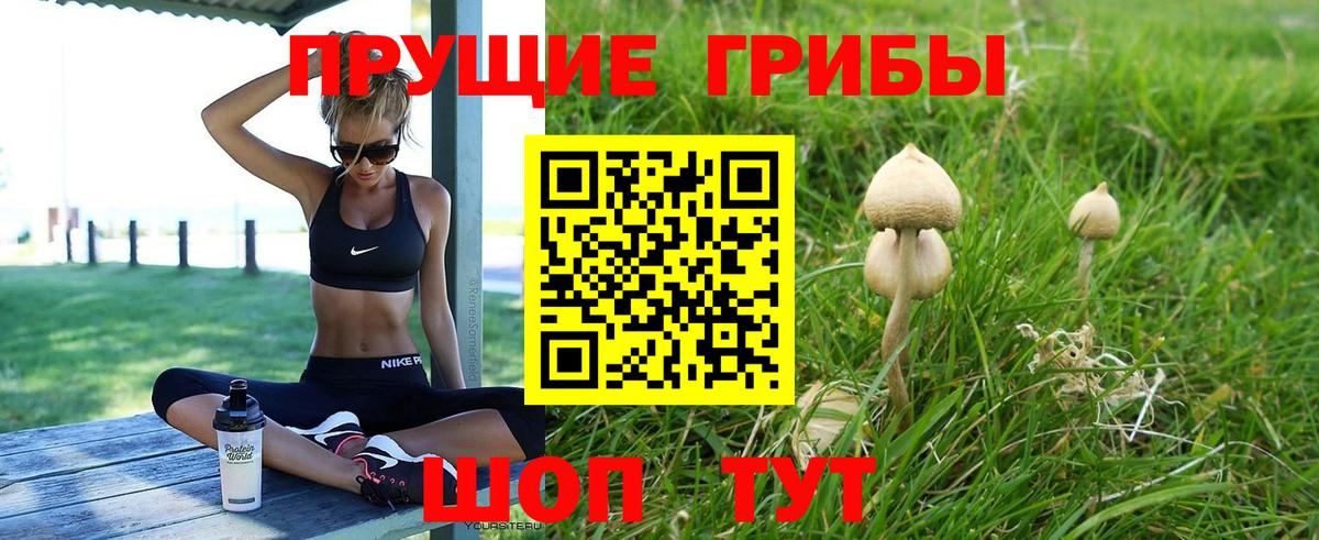 Кострома  сколько стоит  Псилоцибиновые грибы MAGIC MUSHROOMS  Вход с VPN  Псилоцибиновые грибы GOLDEN TEACHER 